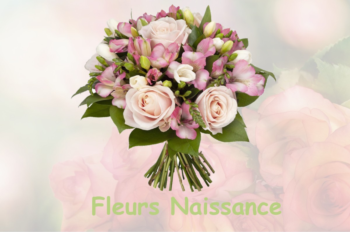 fleurs naissance SAINT-CAPRAIS-DE-BLAYE